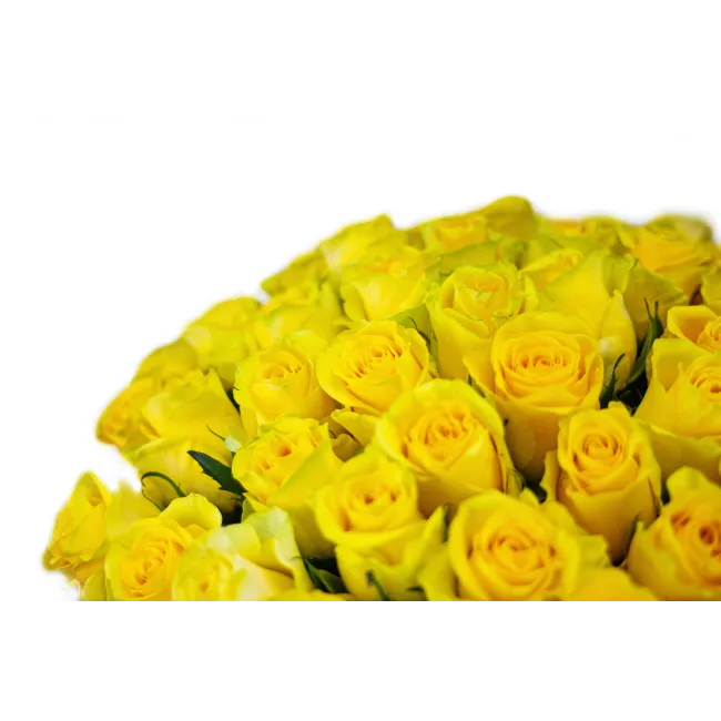 Bouquet of yellow roses